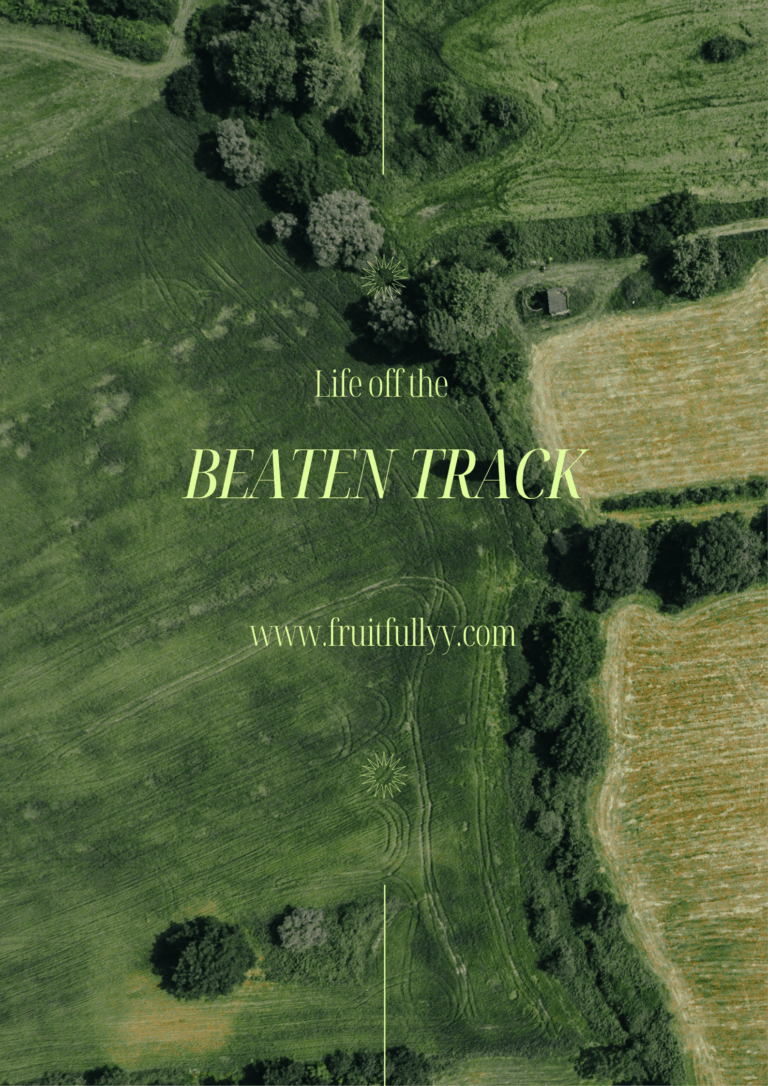 Life Off The Beaten Track- Hoi An